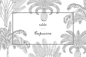 Marque-table mariage noir oiseaux de paradis noir Marque-table mariage noir oiseaux de paradis noir