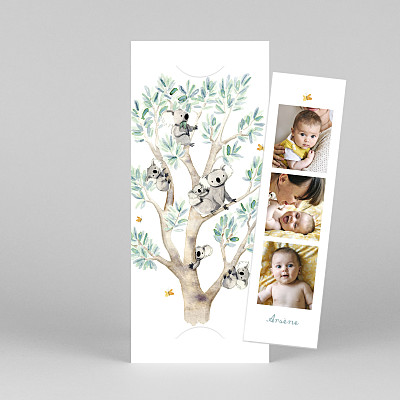 Faire-part de naissance petite alma 6 koalas en famille (marque-page) blanc Faire-part de naissance petite alma 6 koalas en famille (marque-page) blanc