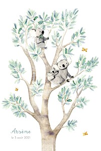 Faire-part de naissance 3 koalas en famille blanc Faire-part de naissance 3 koalas en famille blanc