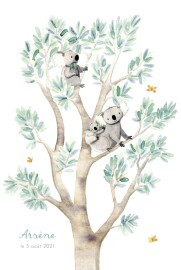 Faire-part de naissance 3 koalas en famille blanc