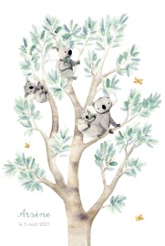 Faire-part de naissance 4 koalas en famille blanc