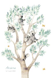 Faire-part de naissance 5 koalas en famille blanc