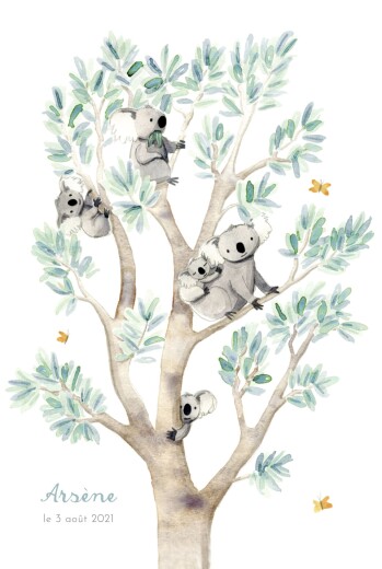 Faire-part de naissance 5 koalas en famille blanc - Recto Faire-part de naissance 5 koalas en famille blanc - Recto