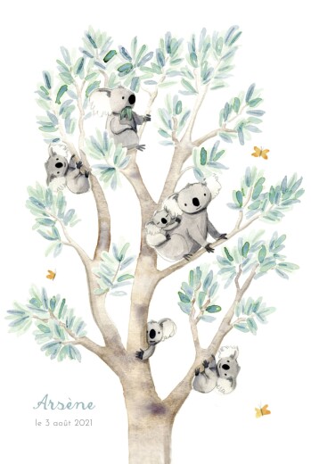Faire-part de naissance 6 koalas en famille blanc - Recto Faire-part de naissance 6 koalas en famille blanc - Recto