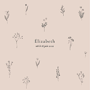 Faire-part de naissance moderne herbier rose Faire-part de naissance moderne herbier rose