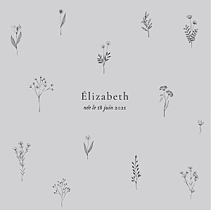 Faire-part de naissance gris herbier gris Faire-part de naissance gris herbier gris