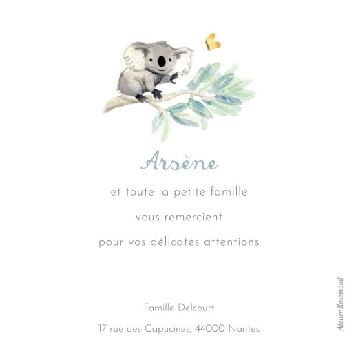Carte de remerciement Merci koalas en famille - Verso Carte de remerciement Merci koalas en famille - Verso
