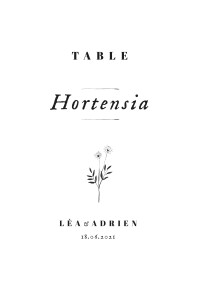 Marque-table mariage Herbier blanc Marque-table mariage Herbier blanc