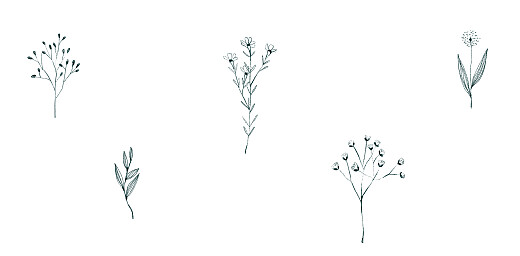 Marque-place mariage Herbier blanc - Page 2 Marque-place mariage Herbier blanc - Page 2