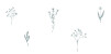 Marque-place mariage Herbier blanc - Page 2 Marque-place mariage Herbier blanc - Page 2