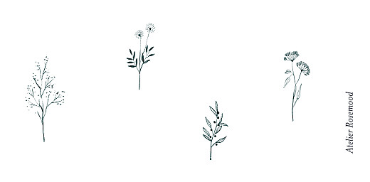 Marque-place mariage Herbier blanc - Page 3 Marque-place mariage Herbier blanc - Page 3