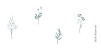 Marque-place mariage Herbier blanc - Page 3 Marque-place mariage Herbier blanc - Page 3