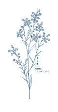 Menu de mariage Laure de Sagazan (recto-verso) bleu Menu de mariage Laure de Sagazan (recto-verso) bleu