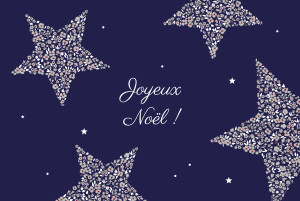 Carte de voeux Liberty étoiles paysage nuit Carte de voeux Liberty étoiles paysage nuit