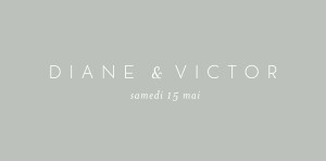 Marque-place mariage Calligraphie vert de gris