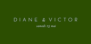 Marque-place mariage vert calligraphie vert sapin Marque-place mariage vert calligraphie vert sapin