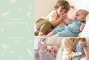 Faire-part de naissance vert élégant papillon vert Faire-part de naissance vert élégant papillon vert