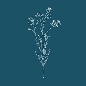 Carton d'invitation mariage bleu botanique bleu Carton d'invitation mariage bleu botanique bleu