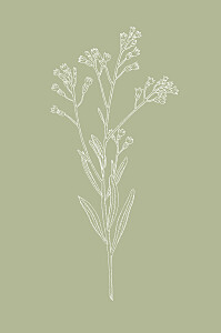 Carton d'invitation mariage vert botanique (portrait) vert Carton d'invitation mariage vert botanique (portrait) vert