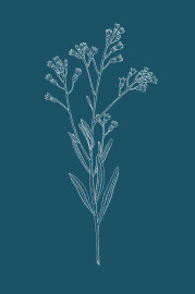 Carton d'invitation mariage Botanique (portrait) bleu