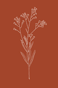 Carton d'invitation mariage bleu botanique (portrait) rouille Carton d'invitation mariage bleu botanique (portrait) rouille