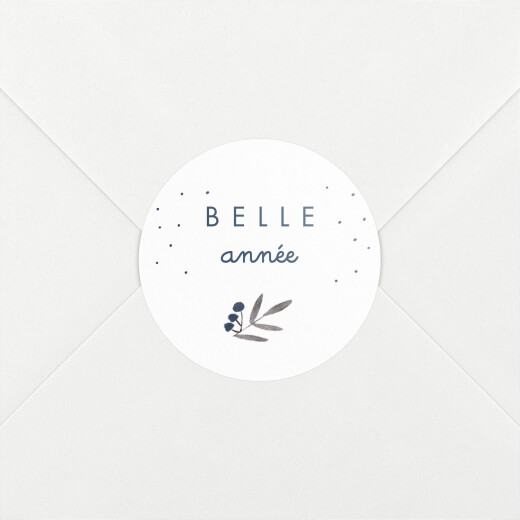 Stickers pour enveloppes vœux Jolies brindilles bleu - Vue 1