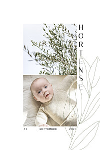 Faire-part de naissance fleur saison vert Faire-part de naissance fleur saison vert
