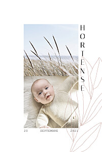 Faire-part de naissance rose saison rose Faire-part de naissance rose saison rose