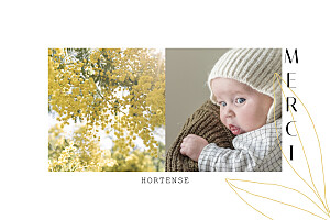 Carte de remerciement photos saison jaune Carte de remerciement photos saison jaune