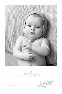 Carte de remerciement fleur les hautes herbes vert Carte de remerciement fleur les hautes herbes vert