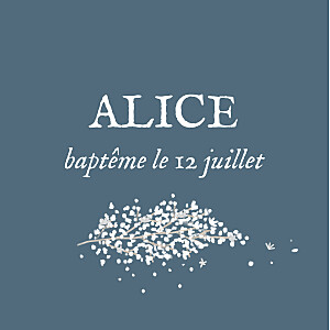 Etiquette de baptême sans photo gypsophile chic bleu Etiquette de baptême sans photo gypsophile chic bleu
