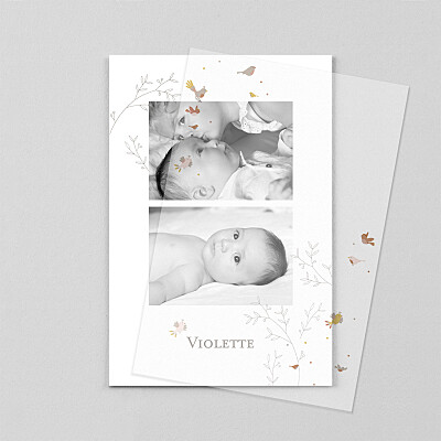 Faire-part de naissance original oiseaux multicolores (calque) rose Faire-part de naissance original oiseaux multicolores (calque) rose