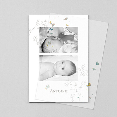 Faire-part de naissance blanc oiseaux multicolores (calque) bleu Faire-part de naissance blanc oiseaux multicolores (calque) bleu
