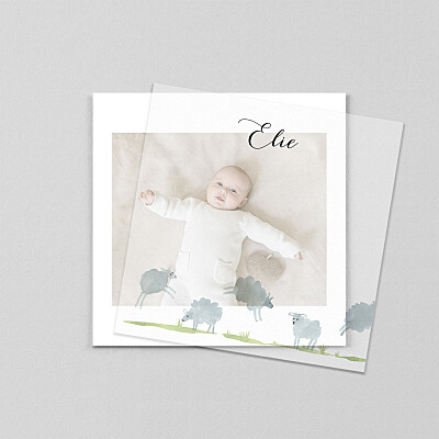 Faire-part de naissance moderne saute mouton (calque) blanc Faire-part de naissance moderne saute mouton (calque) blanc