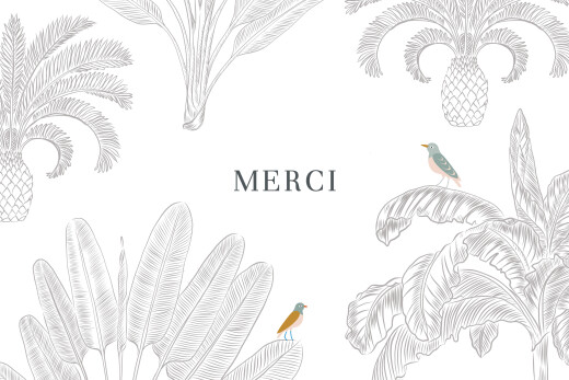 Carte de remerciement Oiseaux de paradis (paysage) blanc - Recto Carte de remerciement Oiseaux de paradis (paysage) blanc - Recto