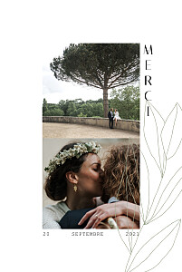 Carte de remerciement mariage fleur saison vert Carte de remerciement mariage fleur saison vert