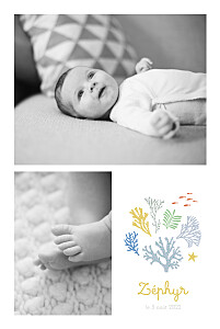 Faire-part de naissance motifs jolis coraux jaune Faire-part de naissance motifs jolis coraux jaune