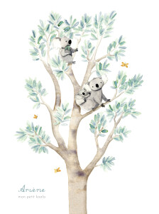 Affiche Koalas en famille blanc