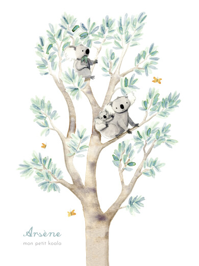 Affichette Koalas en famille blanc - Recto Affichette Koalas en famille blanc - Recto