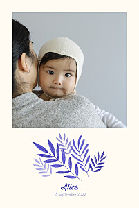 Faire-part de naissance printemps-eté feuillage crayonné bleu Faire-part de naissance printemps-eté feuillage crayonné bleu
