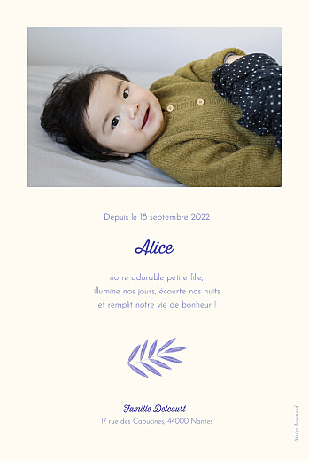 Faire-part de naissance Feuillage crayonné bleu - Verso Faire-part de naissance Feuillage crayonné bleu - Verso
