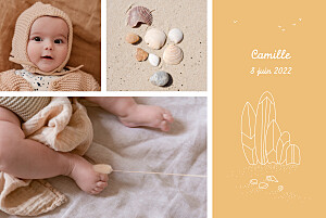 Faire-part de naissance jouets première vague (paysage) mangue Faire-part de naissance jouets première vague (paysage) mangue