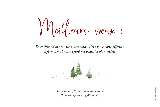 Carte de voeux Sapins blanc - Verso Carte de voeux Sapins blanc - Verso