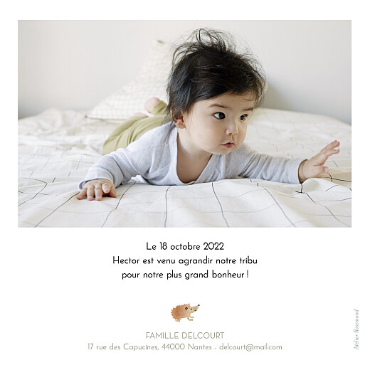 Faire-part de naissance Sous-bois blanc - Verso Faire-part de naissance Sous-bois blanc - Verso