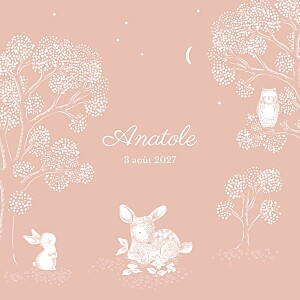 Faire-part de naissance rose histoire du soir rose Faire-part de naissance rose histoire du soir rose