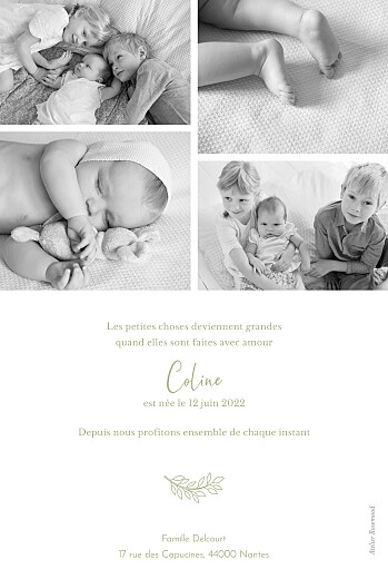 Faire-part de naissance Arbre généalogique (portrait) vert - Verso Faire-part de naissance Arbre généalogique (portrait) vert - Verso