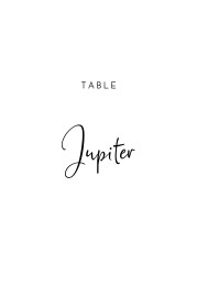 Marque-table mariage Intemporel blanc