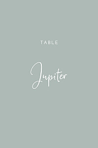 Marque-table mariage vert intemporel vert Marque-table mariage vert intemporel vert