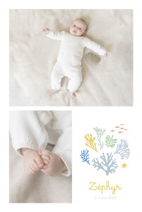 Faire-part de naissance Jolis coraux jaune Faire-part de naissance Jolis coraux jaune