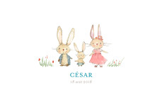 Faire-part de naissance Petits lapins (3 enfants) garçon